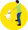 Customized-Dog-Training